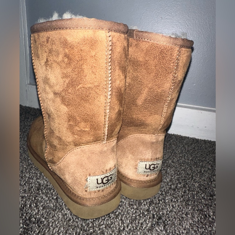 CLASSIC SHORT UGG (CHESTNUT) - Picture 8 of 8